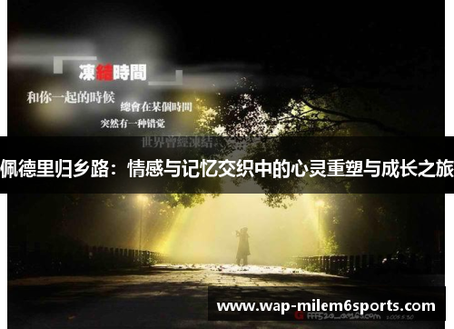佩德里归乡路：情感与记忆交织中的心灵重塑与成长之旅