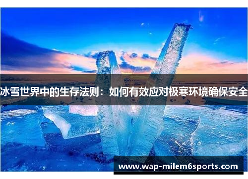 冰雪世界中的生存法则：如何有效应对极寒环境确保安全